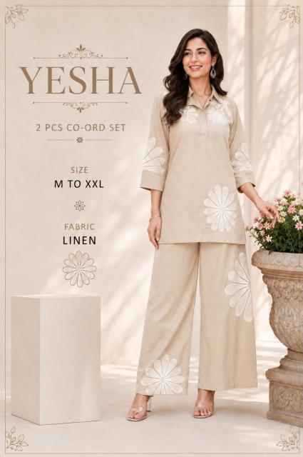 Desi kudi yesha coord set bulk purchase online
